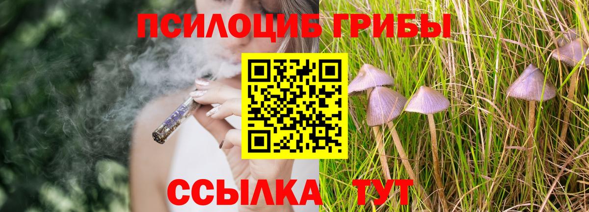Псилоцибиновые грибы Magic Shrooms  Вход с VPN  купить  цена  Балашов 