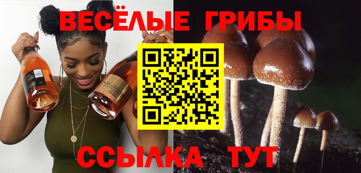 Гашиш Балашов